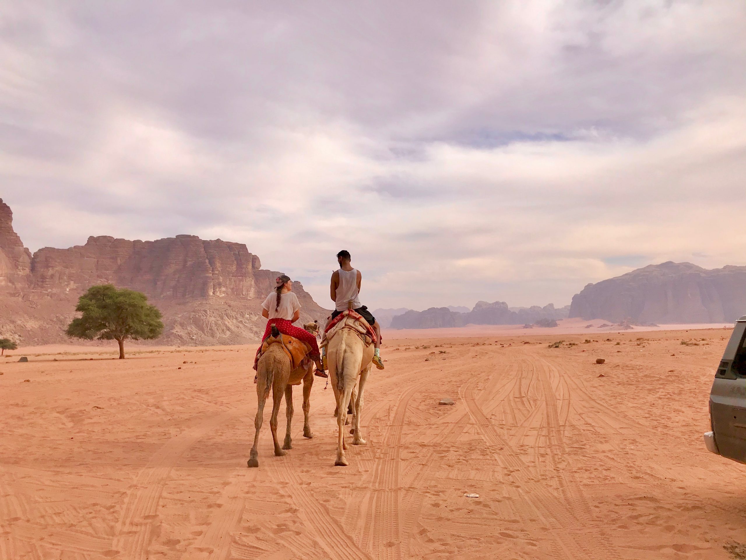balade en dromadaire Get Your Tour In Wadi Rum